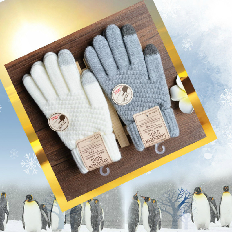 Herbst Winter Neue Kaninchen H – Magic Touch Glove Bewertung und Preis