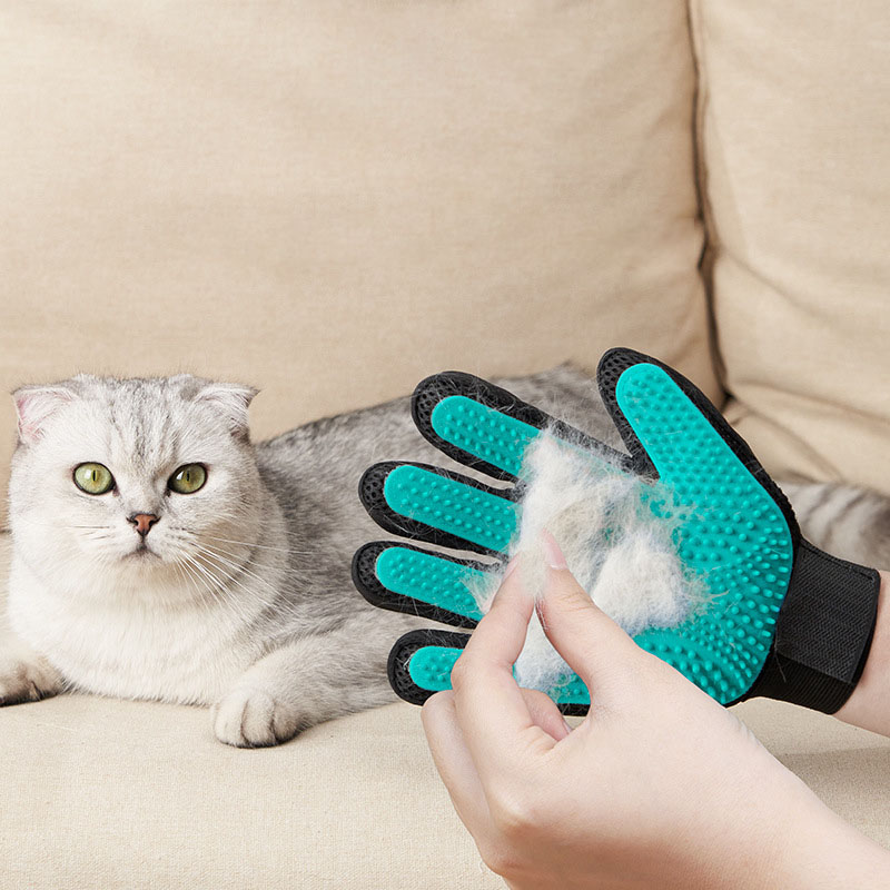 Tierpflege-Handschuh, Sanfter  – Rubber Glove Cleaning Bewertung und Preis