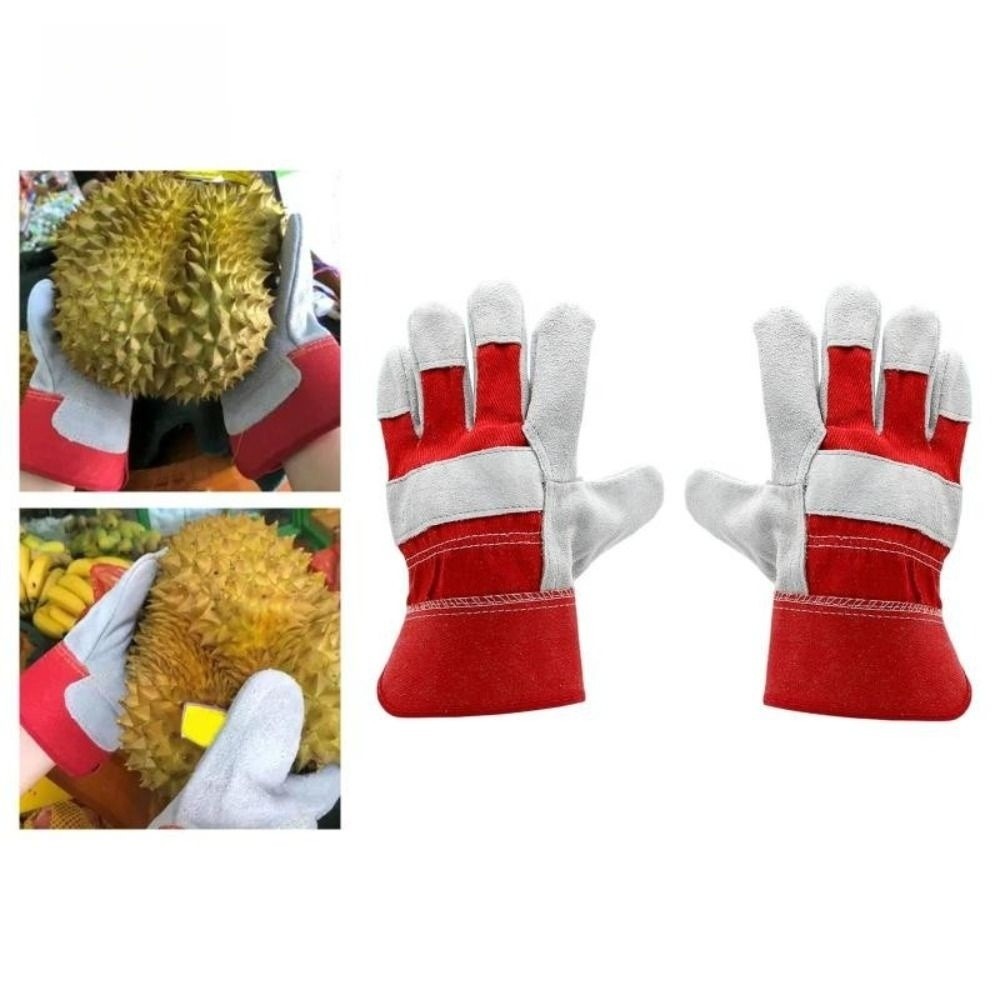 Gartenhandschuhe aus Rindslede – Cut Resistant Glove Bewertung und Preis