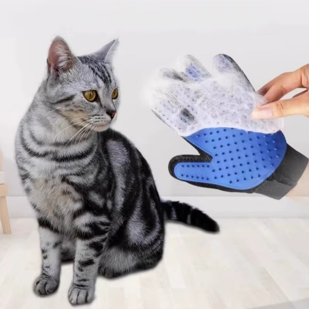 Haustier Katze Hund Pflege Han – Rubber Glove Cleaning Bewertung und Preis