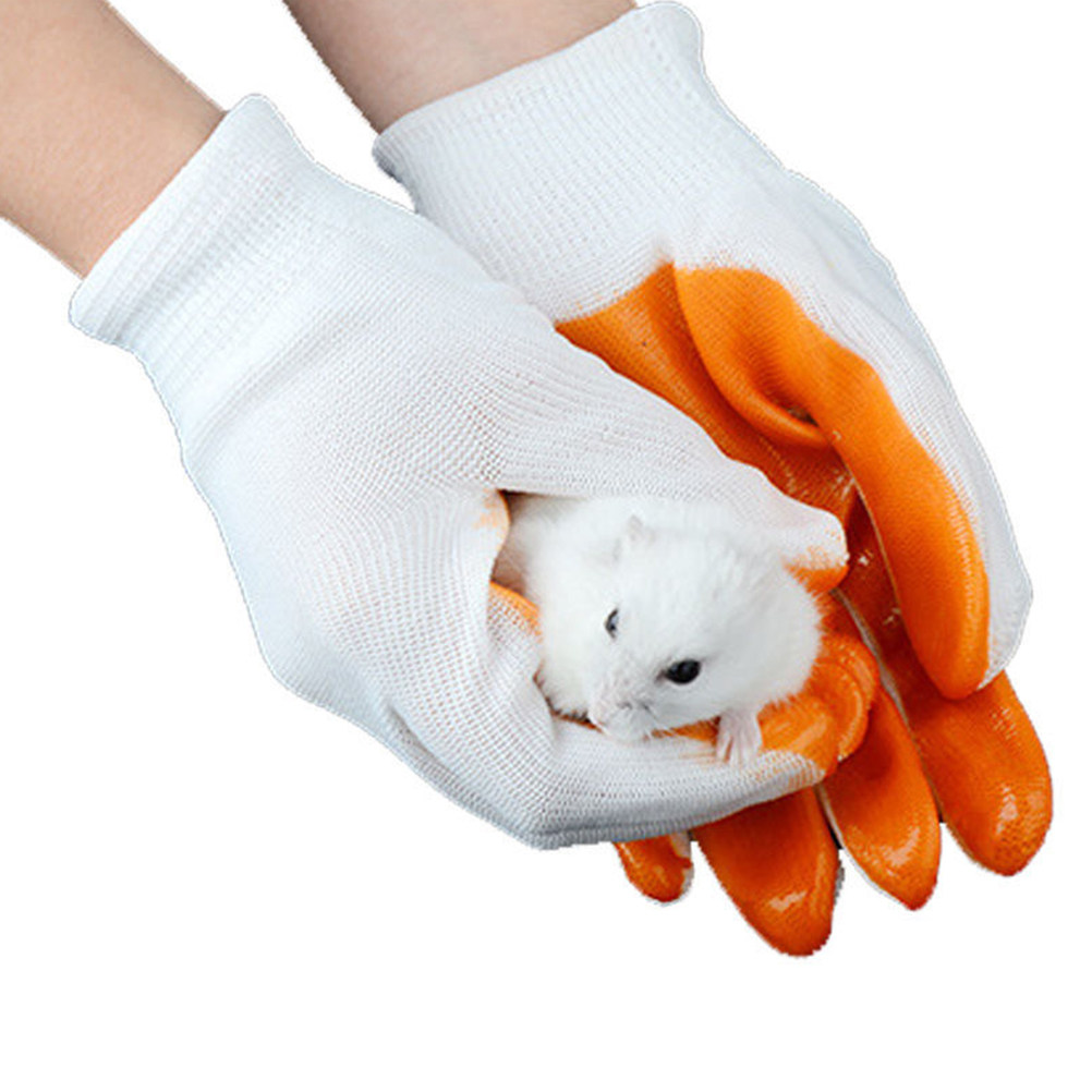 1 Paar Tierschutzhandschuhe, b – Cut Resistant Glove Bewertung und Preis