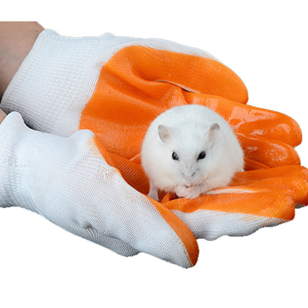 1 Paar Tierschutzhandschuhe, b – Cut Resistant Glove Bewertung und Preis