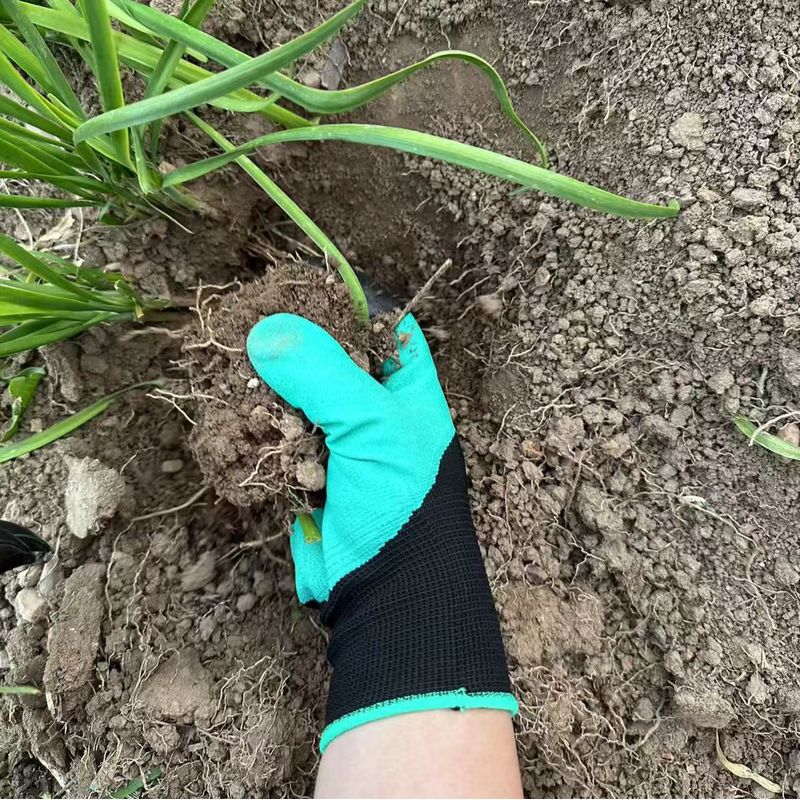Gartenhandschuhe mit integrier – Gardening Glove Waterproof Bewertung und Preis